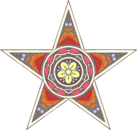 Ornamental star 19