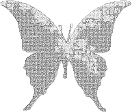 Butterfly Silhouette 6 Maze