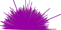 Radial Lines