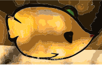 Found Cartoon Animals Request 8