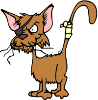 Fighting cat