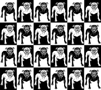 Mean dog pattern