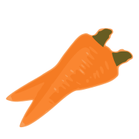 carrot