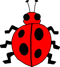 Architetto -- Coccinella 04