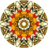 Mandala 16