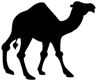 Camel Silhouette
