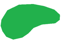 Amoeba