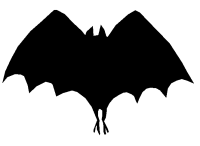 Bat