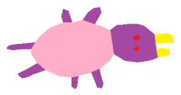 Bug