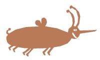 Bug