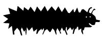 Bug