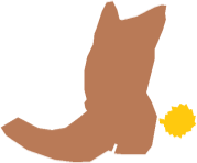 Cowboy Boot