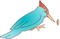 Woodpecker