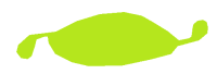 Sprout