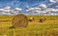 Surreal Where The Buffalo Used To Roam