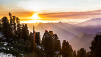 Surreal Snoqualmie National Forest
