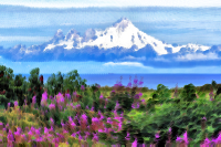 Surreal Alaskan Wilderness