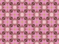 Background pattern 133 (colour 2)