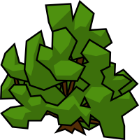 Bush