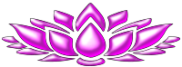 Lotus flower 4