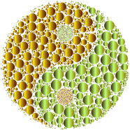 Prismatic Circles Yin Yang 4 No Background