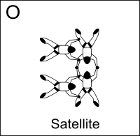 Figure O - Satellite, Vol relatif à 4, Formation Skydiving 4-Way