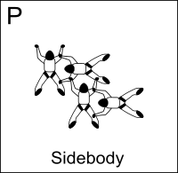 Figure P - Sidebody, Vol relatif à 4, Formation Skydiving 4-Way