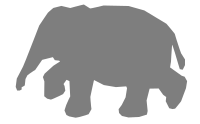 Elephant refixed