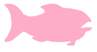 Fish refixed