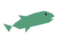 Fish refixed