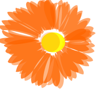 blume-flower