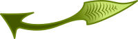 DBB // Green Leaf Arrow