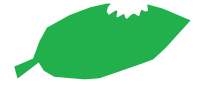 Leaf refixed