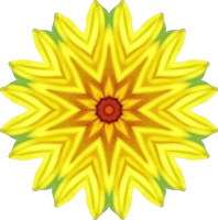 Sunflower kaleidoscope 13