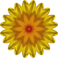 Sunflower kaleidoscope 14