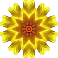 Sunflower kaleidoscope 15