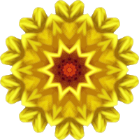 Sunflower kaleidoscope 16