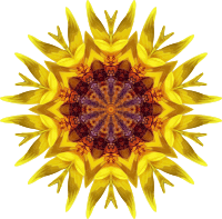 Sunflower kaleidoscope 18