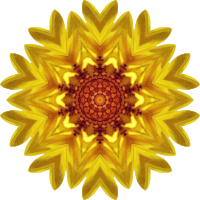 Sunflower kaleidoscope 17