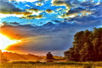 Surreal Hope Rising