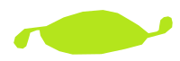 Sprout refixed