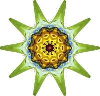 Sunflower kaleidoscope 20