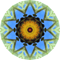 Sunflower kaleidoscope 21