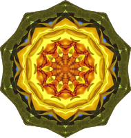 Sunflower kaleidoscope 24