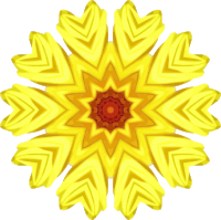 Sunflower kaleidoscope 27