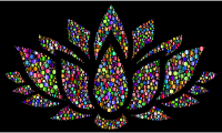 Prismatic Lotus Flower Silhouette 6 Circles 6