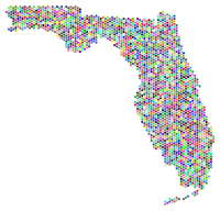 Prismatic Florida Hexagonal Mosaic