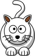 White cat