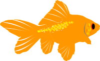 Goldfish