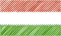 Hungary flag linear